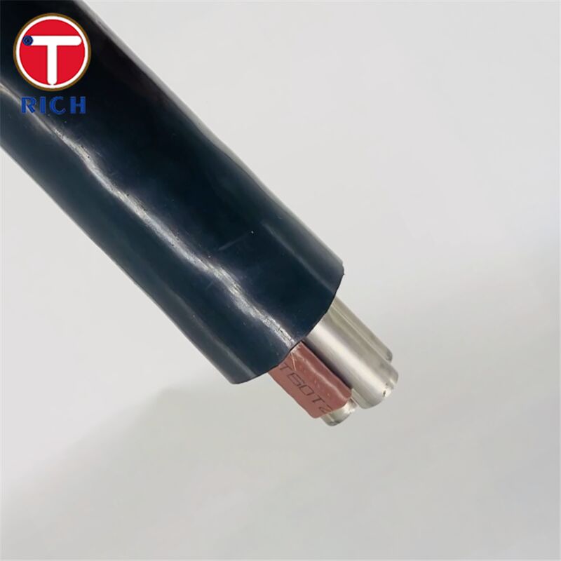 Denizcilik için 304L/316L/Duplex 2205 sınıflarında ve soğuk çekim/sıcak valye tekniklerinde plastik kaplama ile çok çekirdekli paslanmaz çelik dikişsiz boru